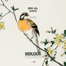 Big Al - Amber [BKR041]
