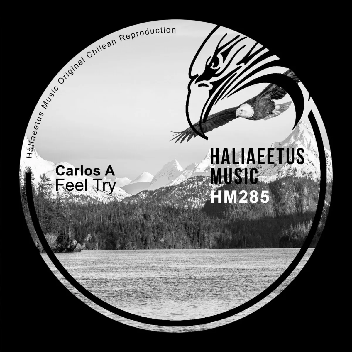 Carlos A – Feel Try [HM285]