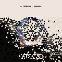 Dj Domingo - Dynamic [ATRZZ157]