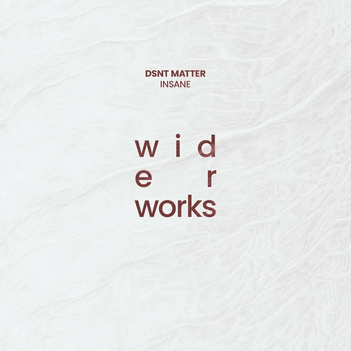 Dsnt Matter – Insane [WW011EP]