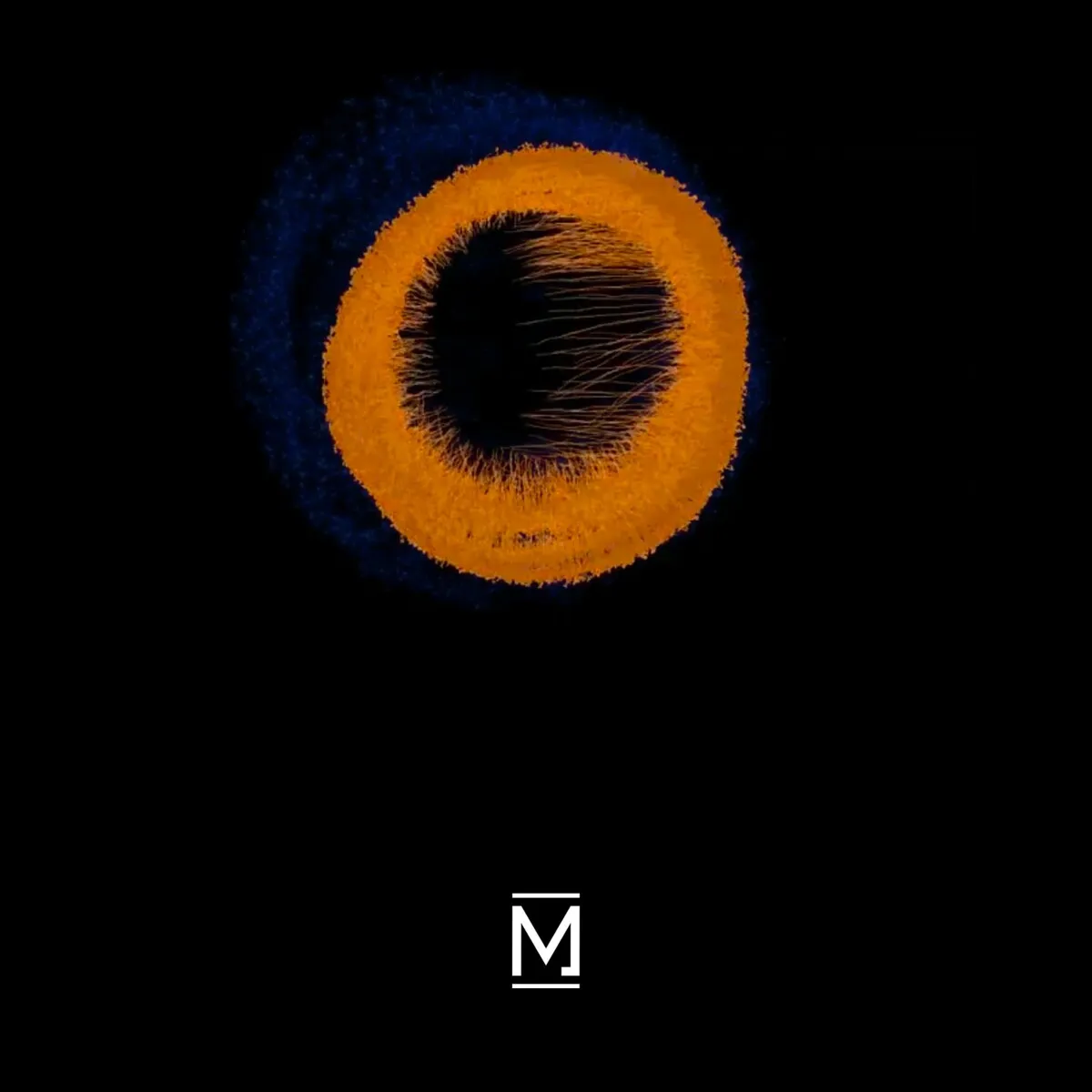 LERM (HU) – Eye of the Beholder [MTRC023]