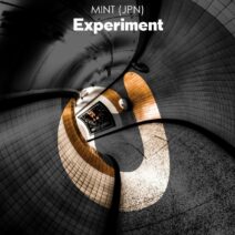 MINT (JPN) - Experiment [DG401]