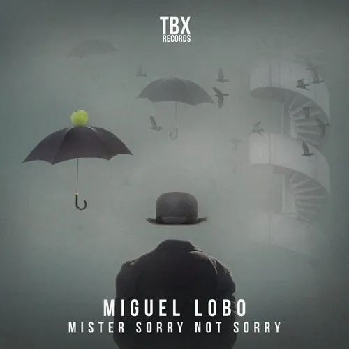 Miguel Lobo - Mister Sorry Not Sorry [TBX50]