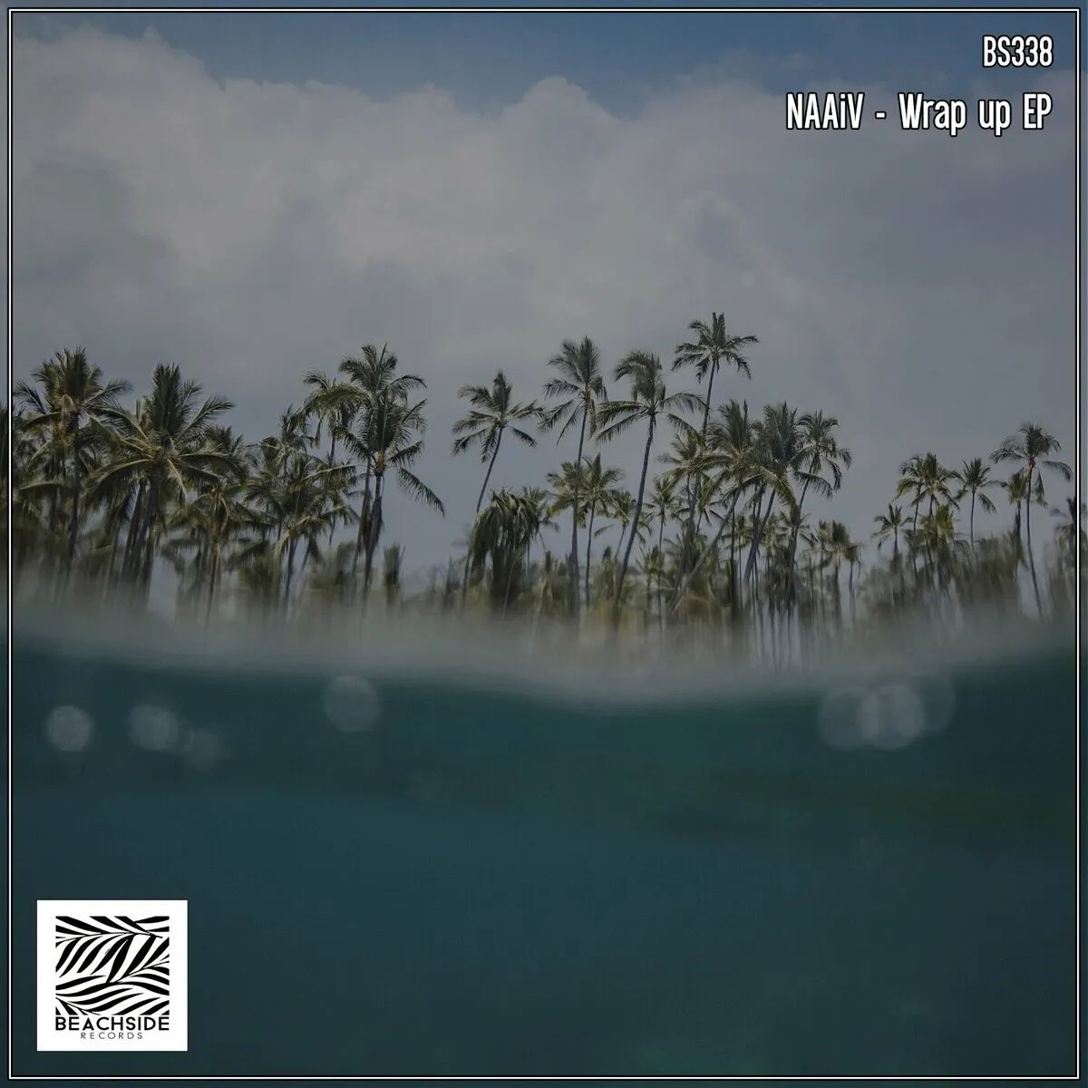 NAAiV - Wrap Up EP [BS338]