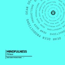 PKNeer - Mindfulness [DDP037]