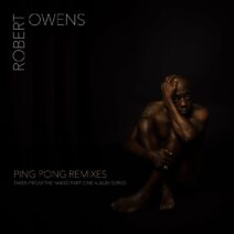 Robert Owens - Ping Pong Remixes [MDIR002]