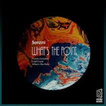 Sonzini - What's the Point [EST522]