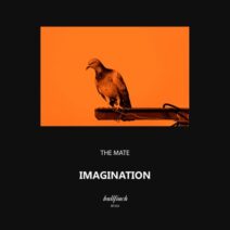 The Mate - Imagination [BF354]