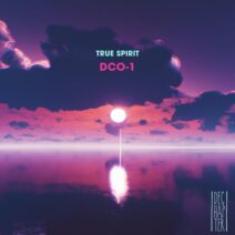 True Spirit - DCO-1 (Original Mix) [DE109]