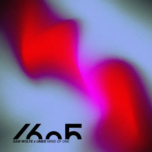 UMEK, Sam WOLFE - Mind Of One [1605292]