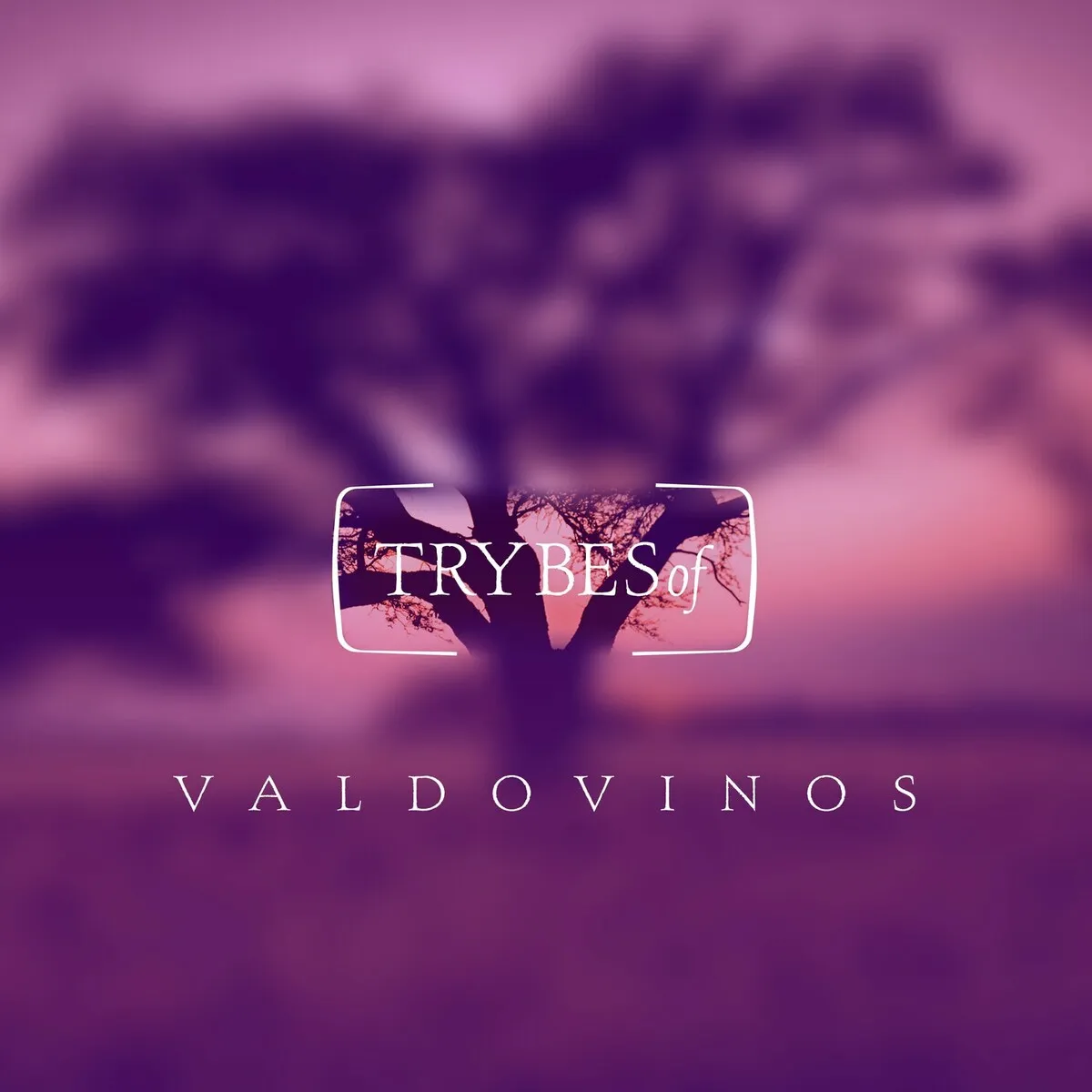 Valdovinos – An Army Of Dreamers [try046]
