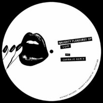 Void - Naughty Pleasures EP [DSTRKT029]