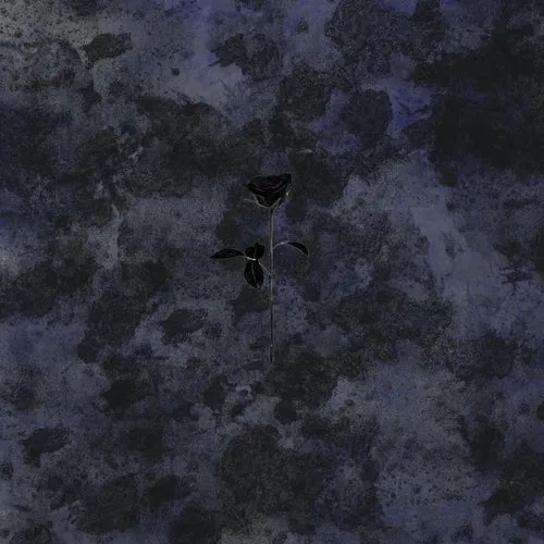 Final Request - Raw [BRR38]