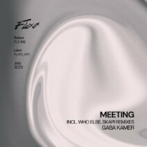 Gaba Kamer - Meeting [FLX196]