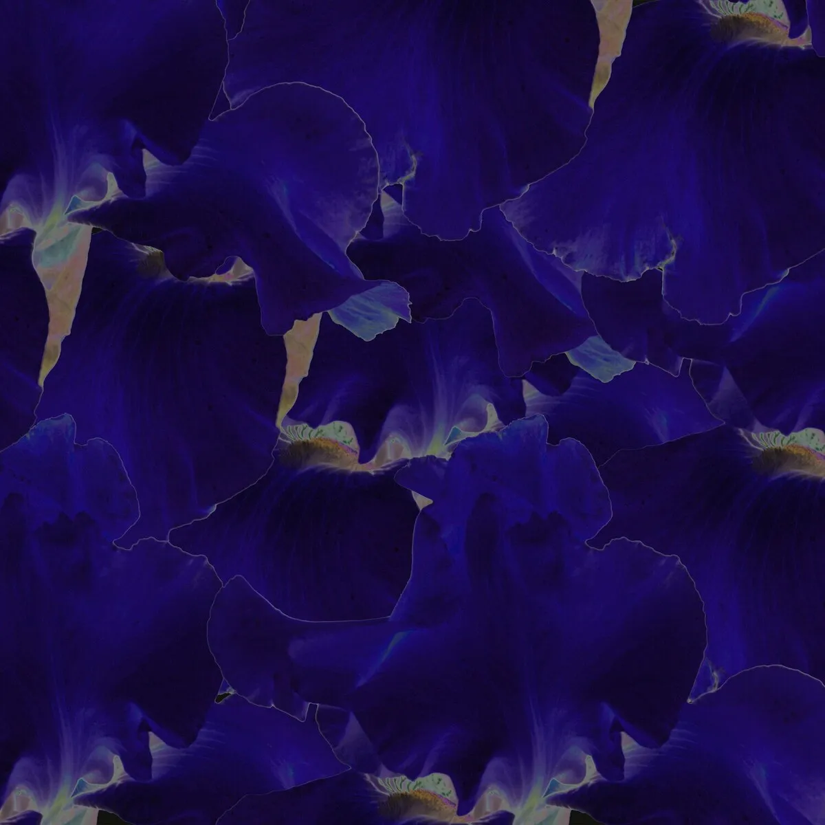 Mumbai Science - Iris EP [DIYNAMIC171]