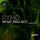 Ryno - What You Got [DSVLO033]