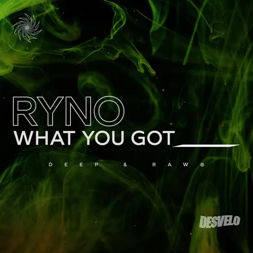Ryno – What You Got [DSVLO033]