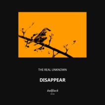 the real Unknown - Disappear [BF358]