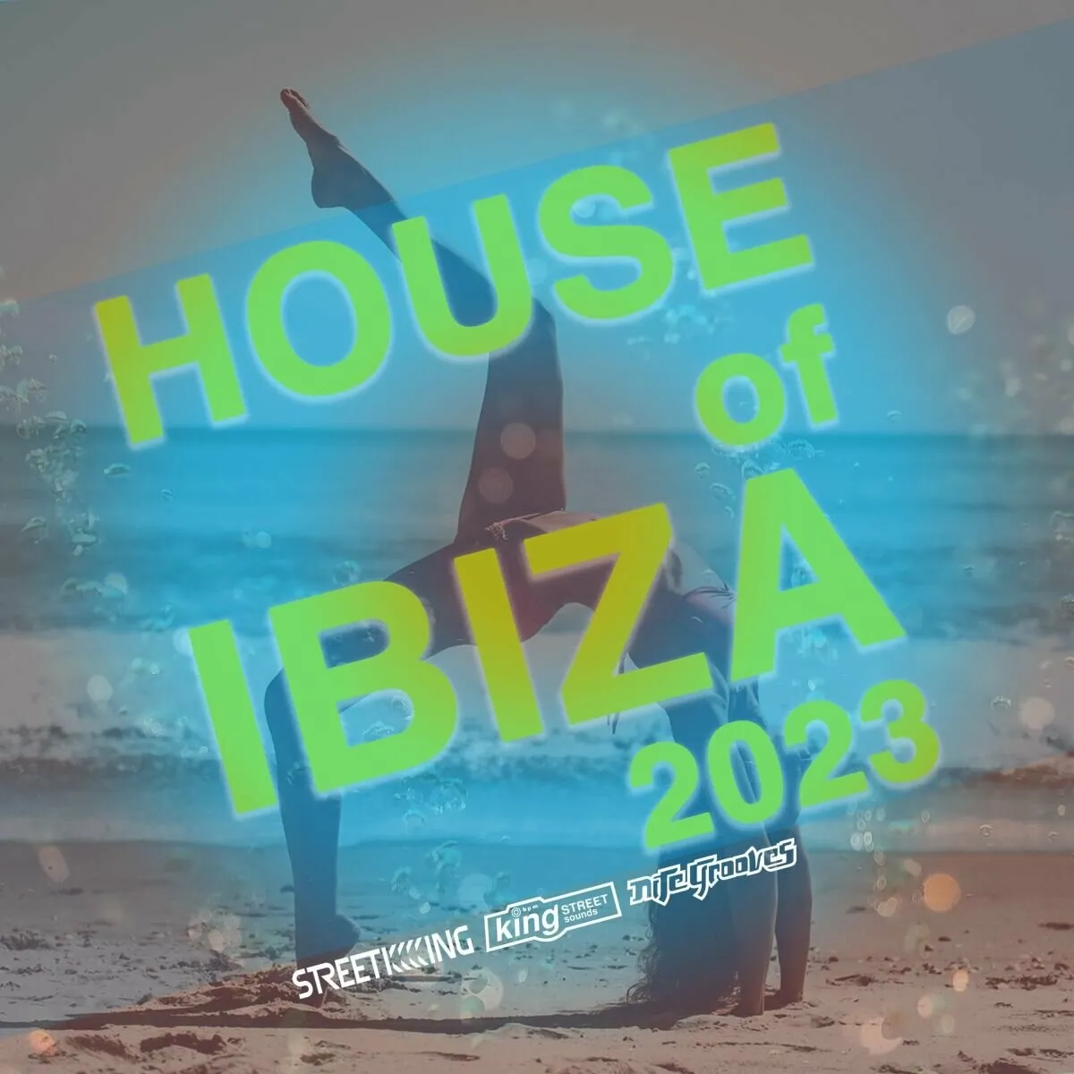 House Of Ibiza 2023 [KSD480]