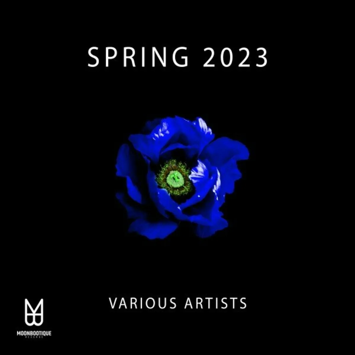 Spring ’23 [MOON171]