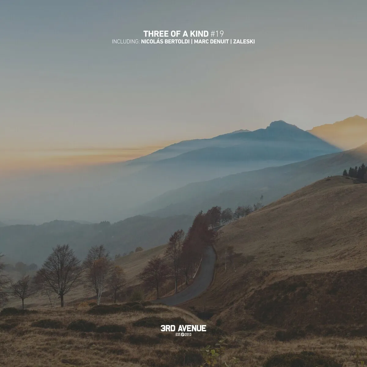 VA - Three of a Kind #19 [3AV374]