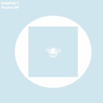 Compor T. - Pegasus EP [NSS161]
