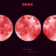 D-Nox - Full Moon [1620171]
