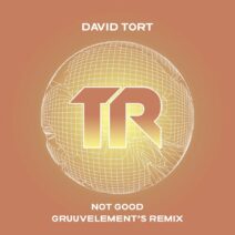 David Tort - Not Good [TRSMT209]