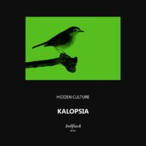 Hidden Culture - Kalopsia [BF359]