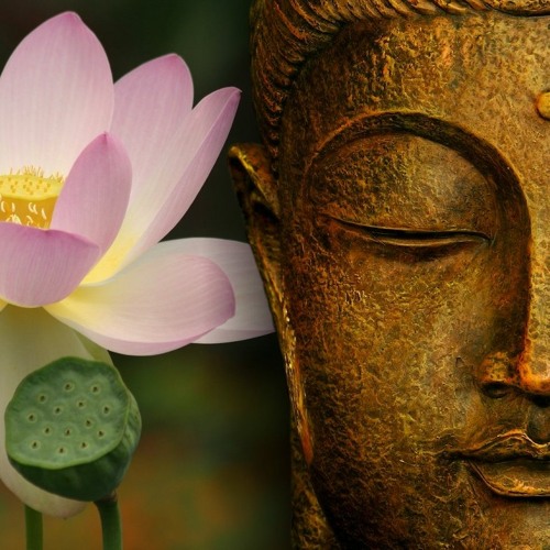 Jo Paciello - Tokyo Groovin' [LAR404]