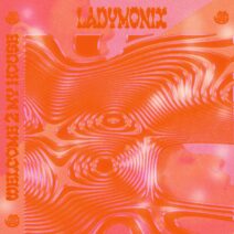 Ladymonix - Welcome 2 My House [BARN088]