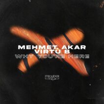Mehmet Akar, Virtù B - Why You're Here [FREQ2339]