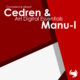 VA - AH Digital Essentials 005 - Cedren & Manu-L [AHDE005COMP]