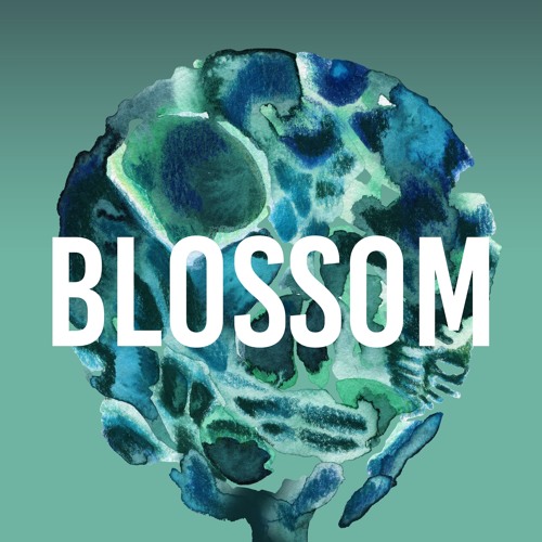 Vincent Marlice - Cherry Blossom [NAT876]