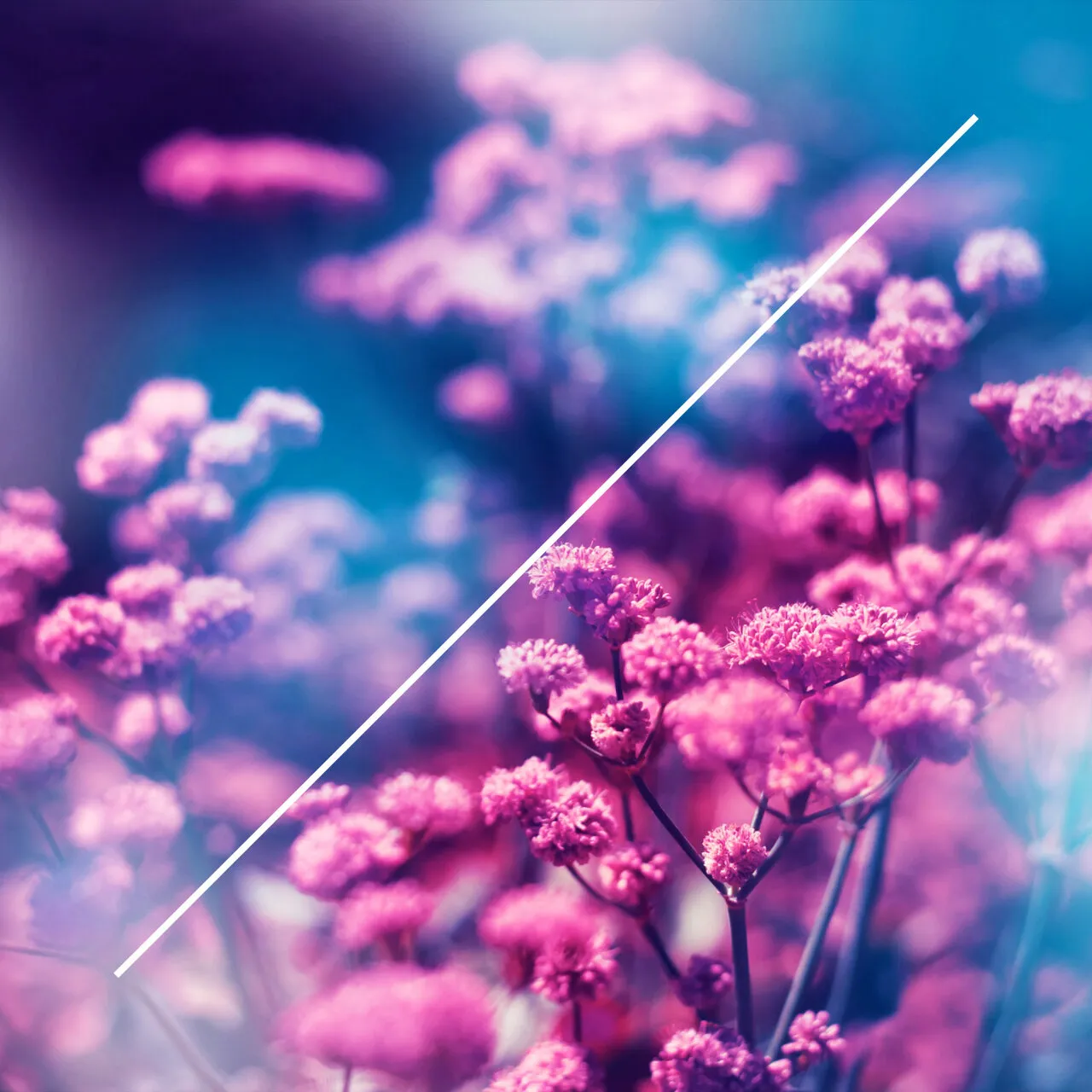 Ale Russo – True Colors [LOOTREC046]