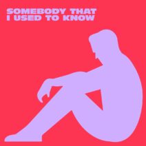 James Cole, Kevin McKay - Somebody That I Used To Know [GU855]