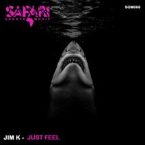 Jim K - Just Feel [SGM068]