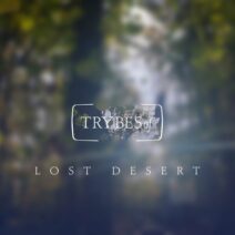 Lost Desert, Junior, Plez - Can't Stop [try049]