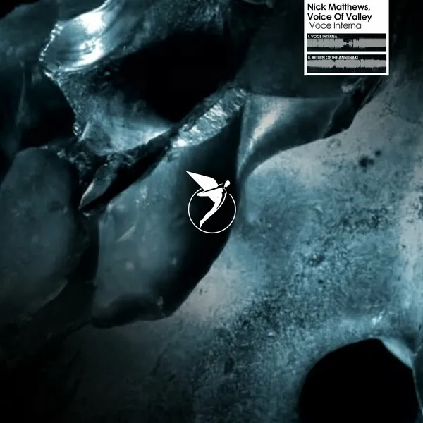 Nick Matthew, Voices of valley – Voce Interna [ASTR033]