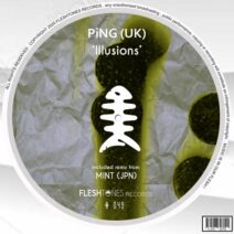 PiNG (UK) - Illusions [FLSHT049]