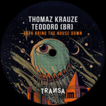 Thomaz Krauze, TEODORO (BR) - Lets Bring The House Down [TRANSA556]