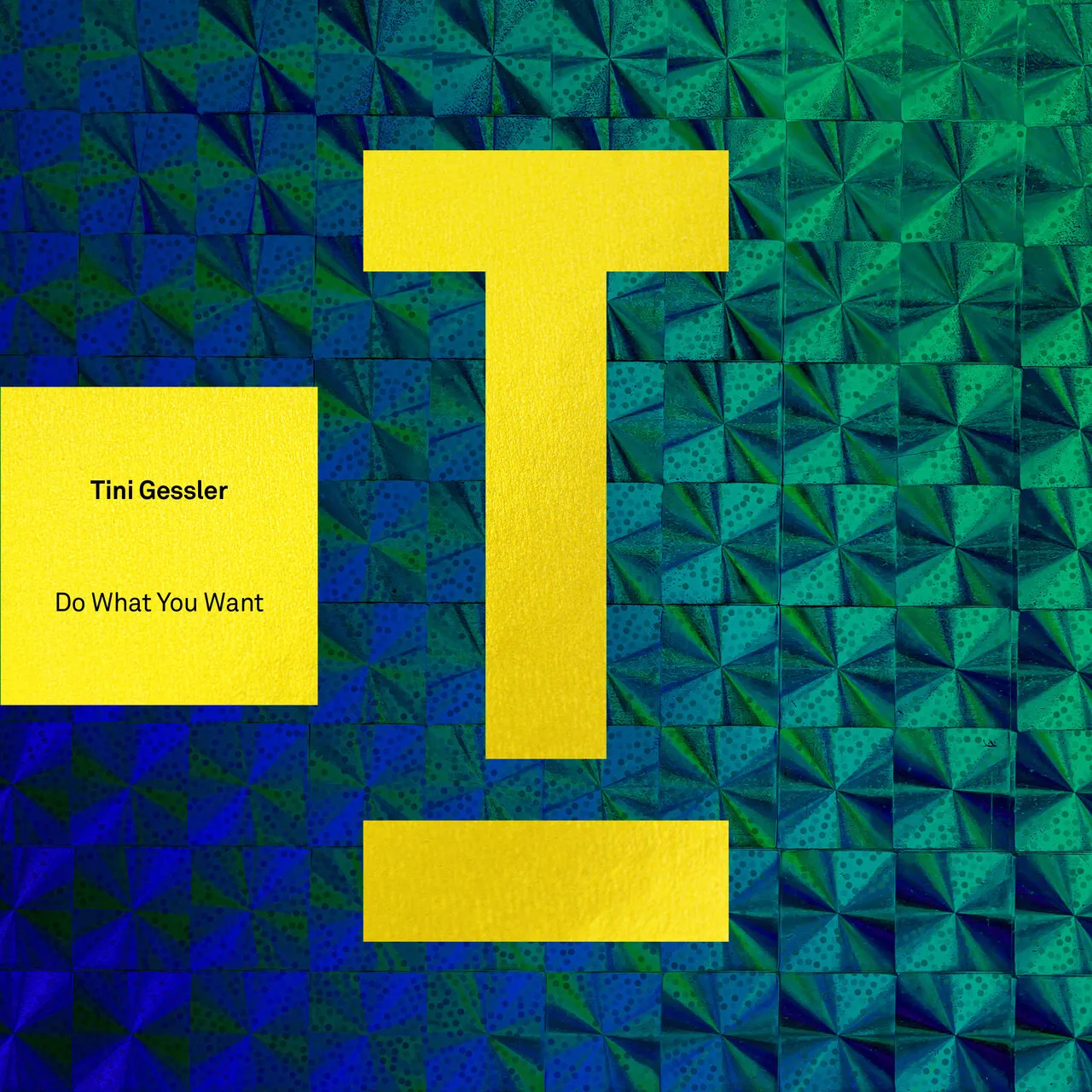Tini Gessler - Do What You Want [TOOL120601Z]