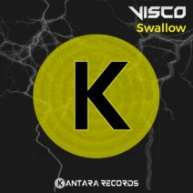 Visco - Swallow [KNT049]