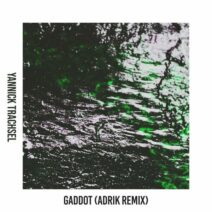 Yannick Trachsel - Gaddot (Adrik Remix) [AMP013R]