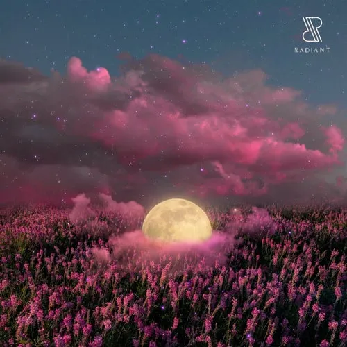 Fahlberg - The Power Of Acceptance [RADIANT.]