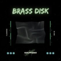 Flashhood - Brass Disk [HG008]