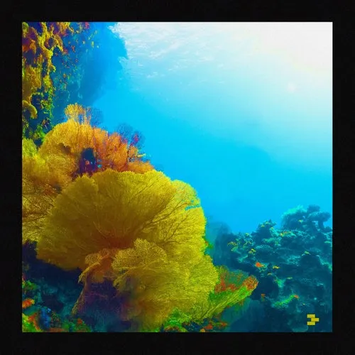 Packim, HYLE, Vic Blonde - Everywhere [Engrave LTD]