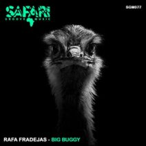 Rafa Fradejas - Big Buggy [Safari Groove Music]