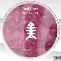 RedVibes - Sintesi FM [FLSHT051]