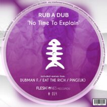Rub A Dub - No Time to Explain [Fleshtones]